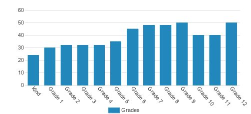 The Pine School Student By Grade The Pine School Student By Grade