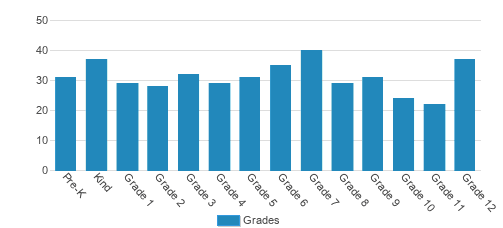 Briarwood Academy Student By Grade Briarwood Academy Student By Grade