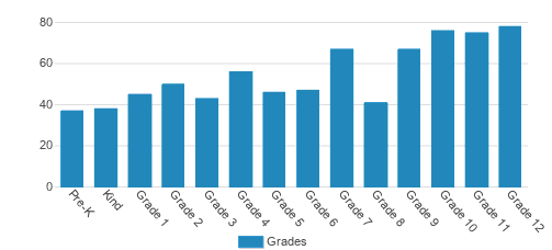 Brookstone School Student By Grade Brookstone School Student By Grade
