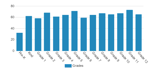 Madison Academy Student By Grade 