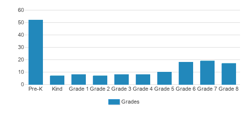 The Berkeley School Student By Grade 