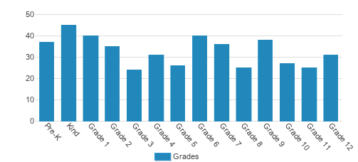 Christian Collegiate Academy Student By Grade 