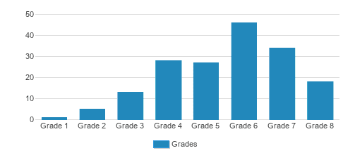 Benchmark School Student By Grade 