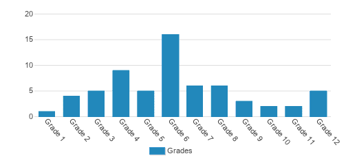 Trident Academy Student By Grade 