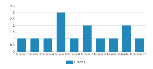 The School For Young Performers Student By Grade 