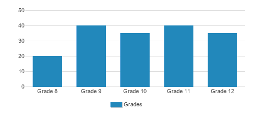 York School Student By Grade 