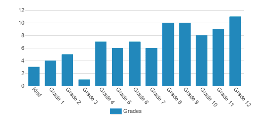Arts & Ideas Sudbury School Student By Grade 