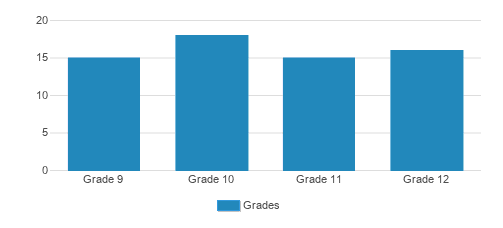 springfield commonwealth academy reviews