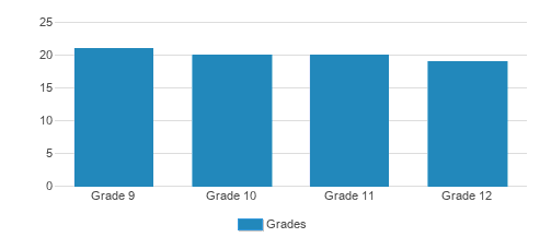Mesivta Ohr Chaim Meir Student By Grade 