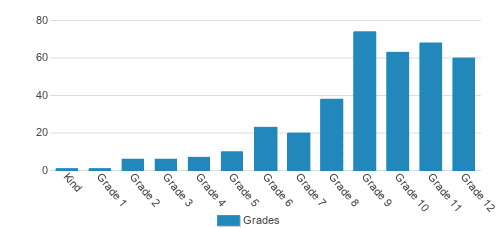 Christa McAuliffe Academy School of Arts&Sciences (Worldwide) Student By Grade 