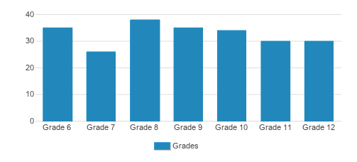 U-Tech Preparatory Academy (Online) Student By Grade 