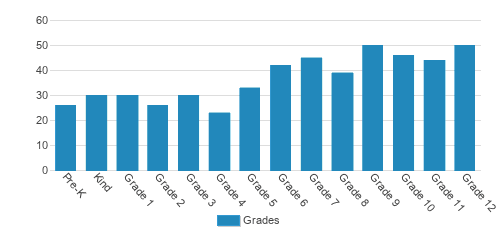 Frederica Academy Student By Grade 