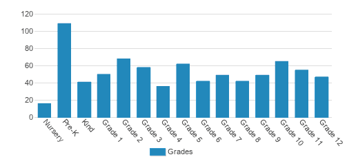 Lycee Francais De Chicago Student By Grade 