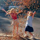 Huntsville Christian Academy Photo #8 - Joy falls all around when you're with a friend who makes every moment brighter.