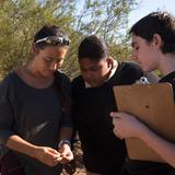 Banner Academy Photo #3 - Students from Banner Academy go on a science field trip to the Verde River to learn about Arizona wildlife and fauna.