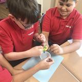St. Jerome Elementary School Photo #6 - Our students learn while utilizing STEAM materials and participating with hands on activities while in class.