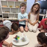 Desert Sky Montessori Photo #10