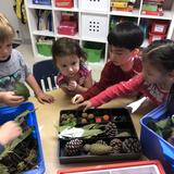 International School Of Los Angeles-burbank Photo #7 - Early ways to learn about science and math, and to be responsible for their world: students at the International School of Orange County learn to grow their own plants, and to be aware of their environment. They often use recycled or natural materials for their science or art projects.