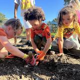 Spring Hill School Photo - Kindergarten working in the garden. With hands on learning and plan, students can integrate their new understanding of the world.