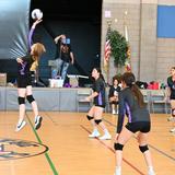 Apostles Lutheran Schools (TK-12) Photo #11 - Women's Volleyball - Apostles Lutheran High School
