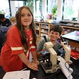 Black Pine Circle School Photo #10 - Bacteria Viewing in the Petri Dish