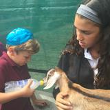 Chabad Hebrew Academy Photo #6 - Service learning is an exciting and integral component of the Middle School program at CHA.
