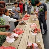 Montessori Elementary Intermediate School Of Alameda Photo #8