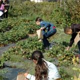 Montessori Elementary School Of Alameda Photo #4