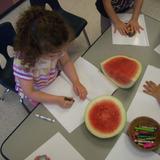 Early Childhood Develop Center Photo #5 - Drawing and writing is an important aspect of the curriculum as it supports fine motor development, documentation and representing their world, and the pre-writing exposure. Here the three year olds are drawing pictures of watermelons in their nature journals. Red, green, black and yummy!