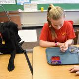 Horizon Academy Photo #7 - Our therapy dog, Milo, is a member of our community and comes to school each day.
