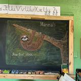 Waldorf School Of Louisville Photo #8