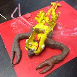 Butler Montessori Photo #9 - Upper Elementary lobster dissection project.