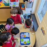 Epworth Preschool & Kindergarten Photo #3 - Science, Social Studies, and Math are all taught through exploration and in small group settings based on mastery, not age. We don't believe in "one size fits all" education.