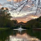 Park School of Baltimore Photo #4 - Park`s academic buildings are built around the pond. Science classes perform experiments in the pond; community members monitor the eggs, hatching, and growth of resident goslings each spring; and students canoe on the water during PE classes.