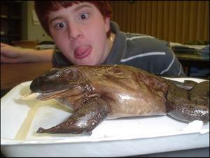 First Baptist Christian School Photo