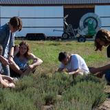 The Hartsbrook School Photo #3 - High School students working in the ACTS program at a local farm. Agency. Community. Terra. Social Justice.