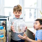 Lexington Montessori School Photo - Lexington Montessori School: Hands-on, collaborative learning in a nurturing and engaging environment.