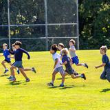 Nashoba Brooks School Photo #7