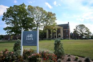 Cats Academy Photo