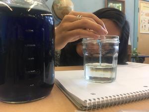 Waldorf School Of Cape Cod Photo Waldorf School Of Cape Cod Photo