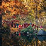 Cranbrook Schools Photo #5