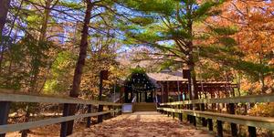 The Leelanau School Photo