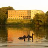 St. Croix Lutheran Academy Photo #2 - SCLA's modern lakeside dormitory houses 150 students from around the USA and world and is fully staffed. It is within walking distance of over 50 stores and restaurants.