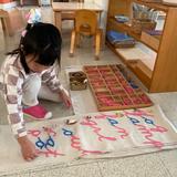 Chesterfield Montessori School Photo #7 - A Primary student working with the Movable Alphabet and practicing reading.