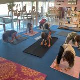 Chesterfield Montessori School Photo #9 - Elementary students during Yoga Club.