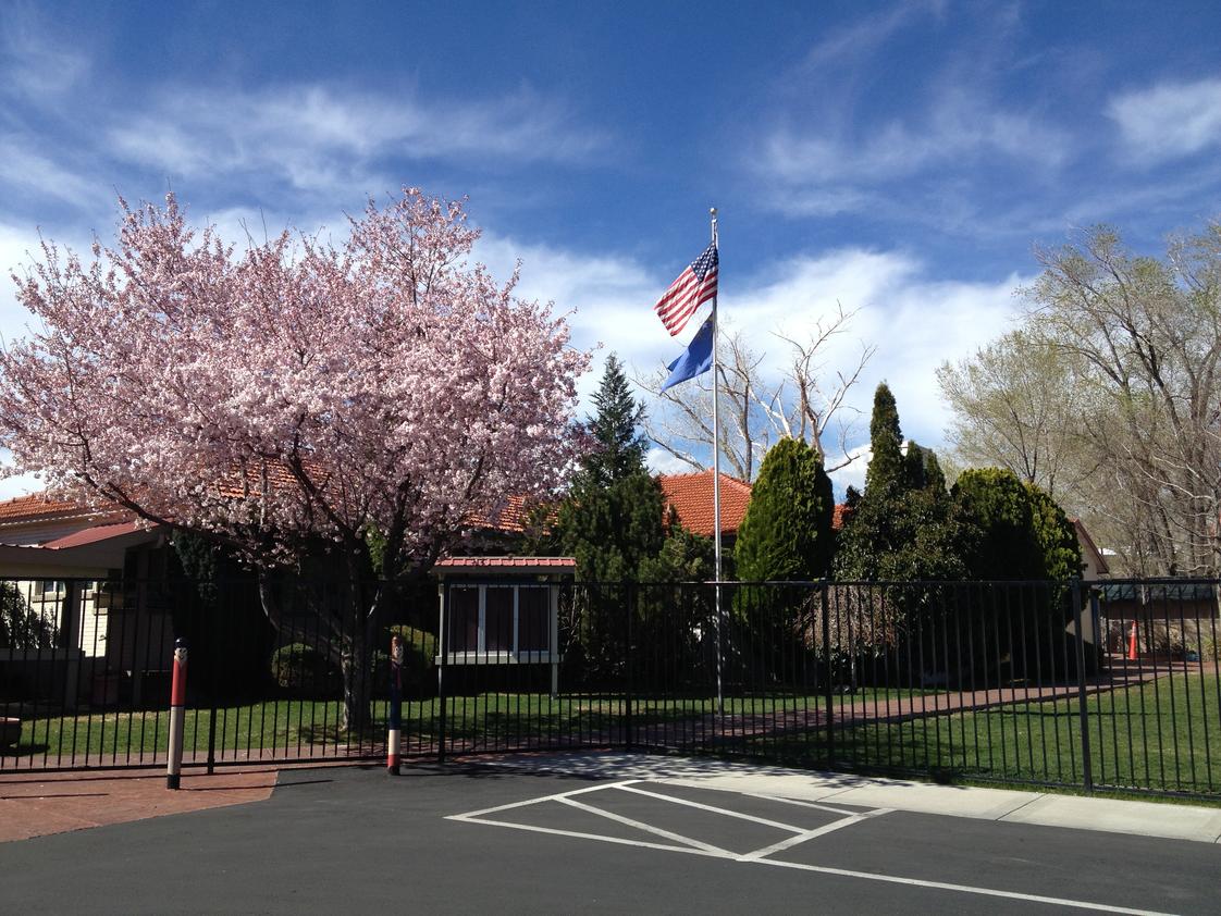 Brookfield School Photo - Spring blooms for students at Brookfield School. Reno - NV