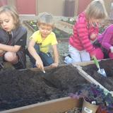 Foothills Montessori School Photo #5 - We have gardens in multiple locations on campus where students receive and apply botany lessons.