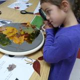 Barnert Temple Preschool Photo #3 - Investigation of the natural world, documentation, observation, and creative expression is the hallmark of our pre-k curriculum.