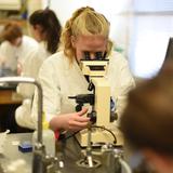 Sandia Preparatory School Photo #6 - We offer a unique array of rigorous, honors-level courses that challenge and motivate, including genetics and microbiology.