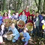 Aurora Waldorf School Photo #2 - In 3rd Grade classes often go apple picking as part of their Farming block.